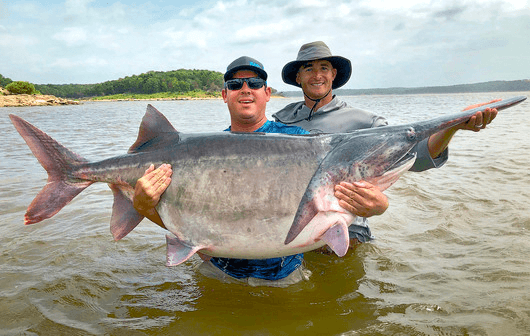 POTENTIAL WORLD RECORD! Oklahoma angler snags new record paddlefish at 146.7 pounds image