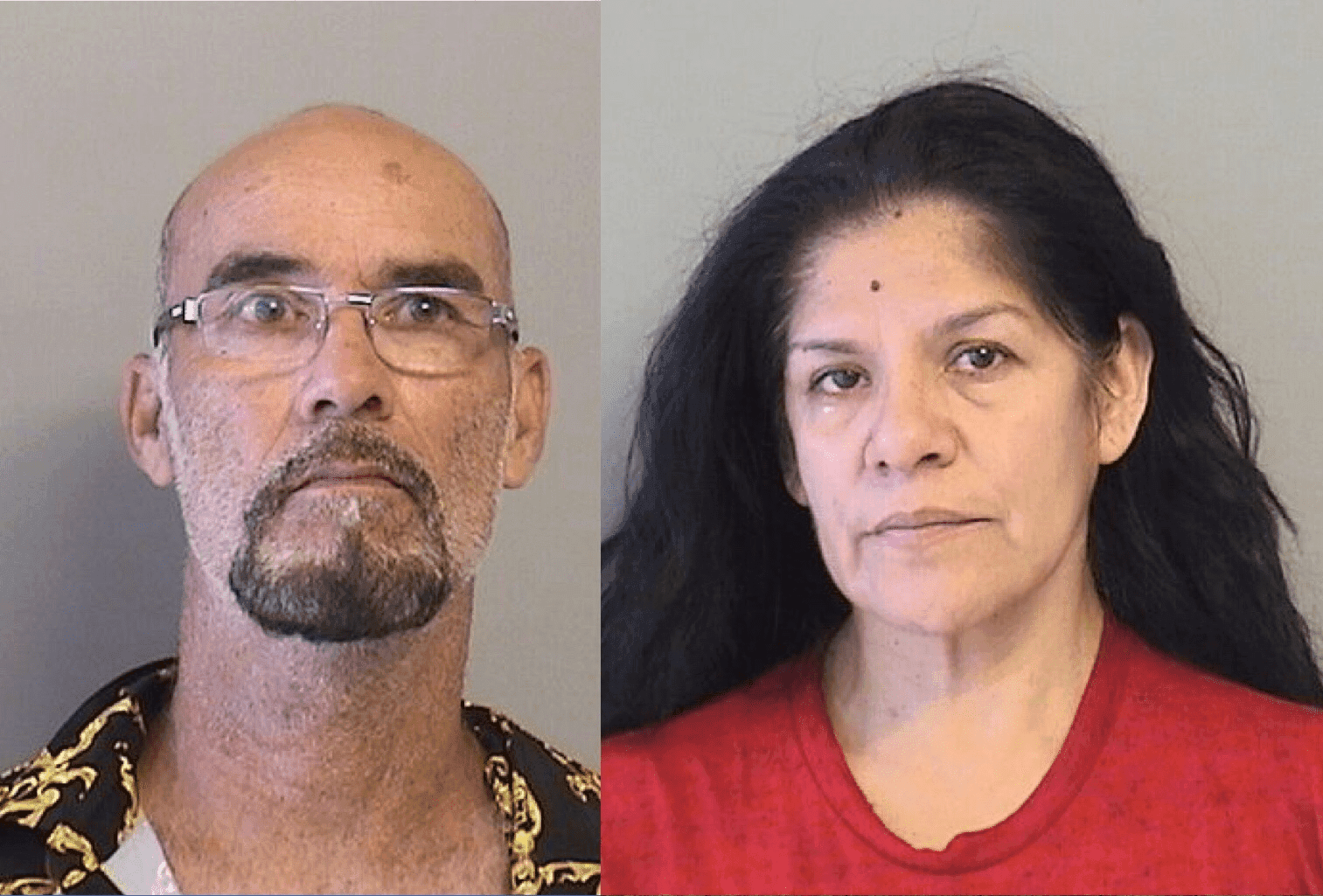 Couple tries to take the law into their own hands, gets arrested  image