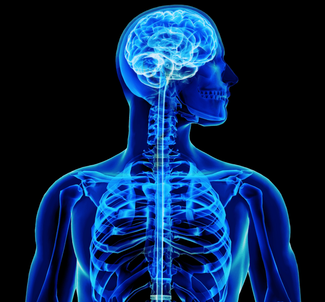 Clif Merz profile picture