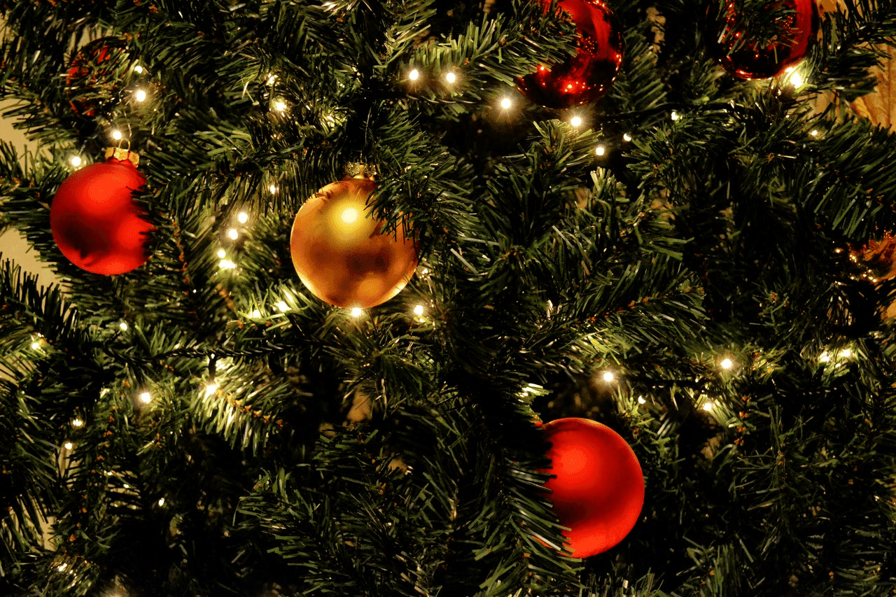 Public invited to Annual Governor’s Christmas Tree Lighting Ceremony on Monday image