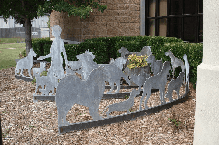 City to undergo reorganization at Tulsa Animal Shelter image