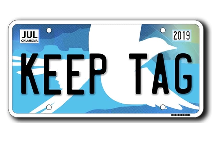 New license plate, registration law takes effect July 1 image