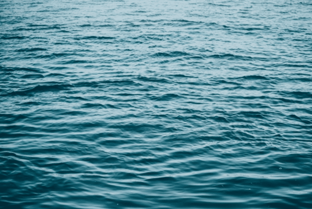 Man drowns trying to rescue child image