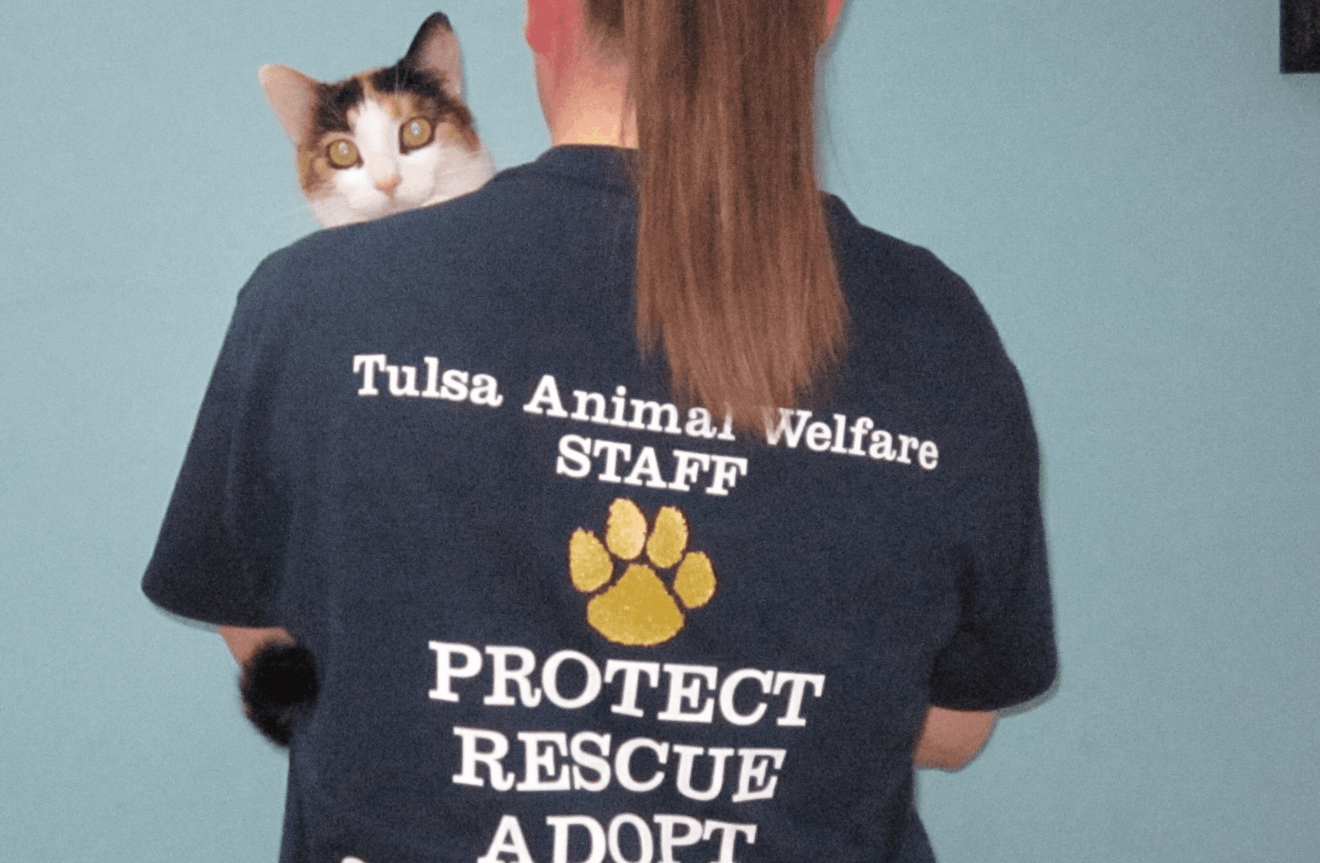 Tulsa Animal Welfare looks to ‘Clear the Shelter’ August 17 image