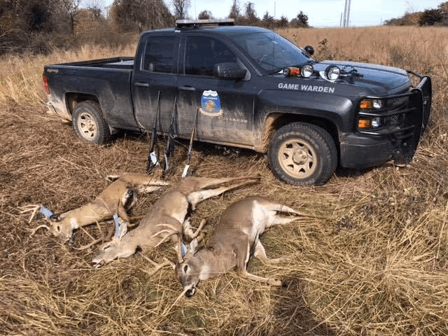 Men cited for illegally hunting deer image