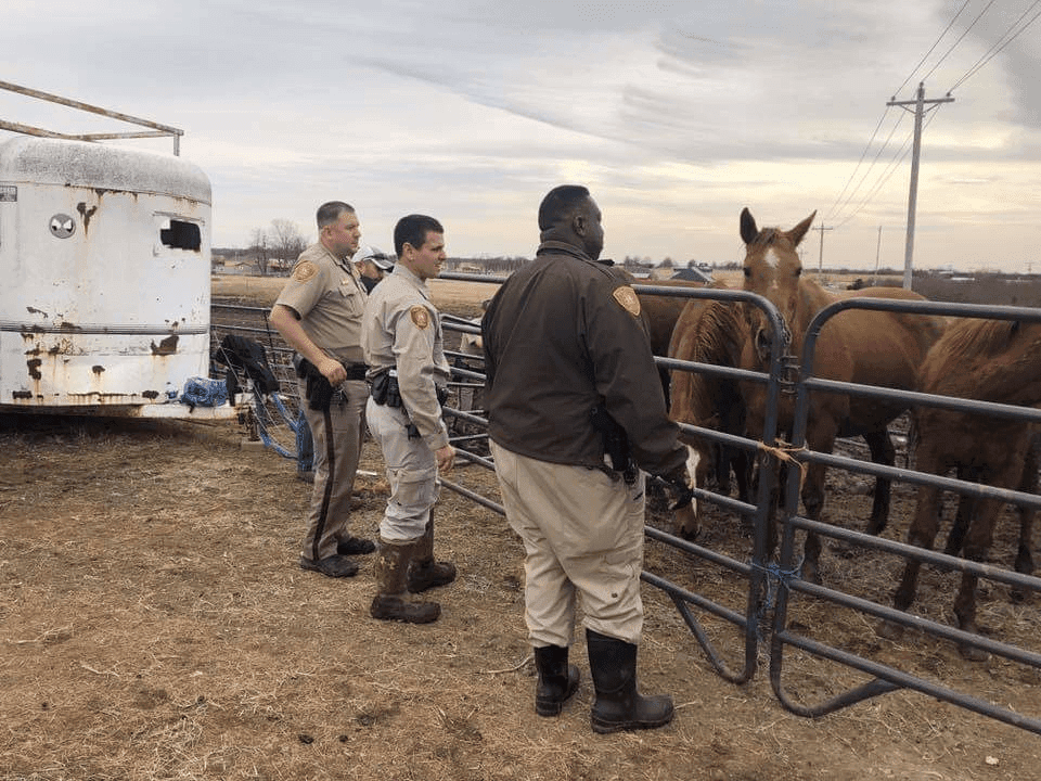 49 animals seized from Tulsa County property image
