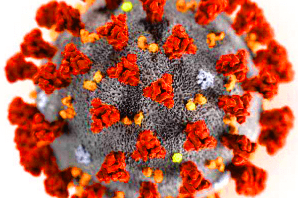 Contact tracing guidance, increased tracers and adjustments to publishing of COVID-19 Data  image