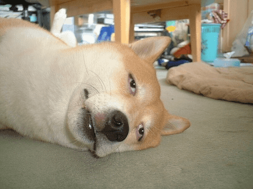Test profile picture