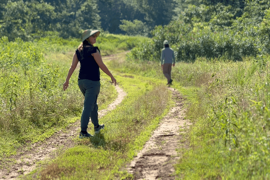 Indigenous Roots: Natural pathways between history and today image
