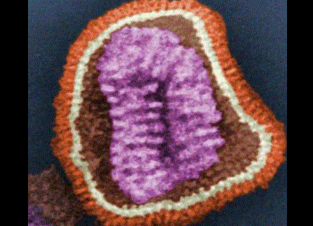 Oklahoma officials investigating first possible case of measles in 2019 image