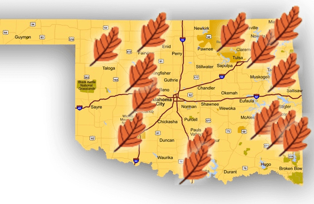 Fall foliage and November festivals image