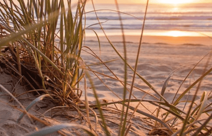 8-year-old seriously injured after driving ATV off embankment  image