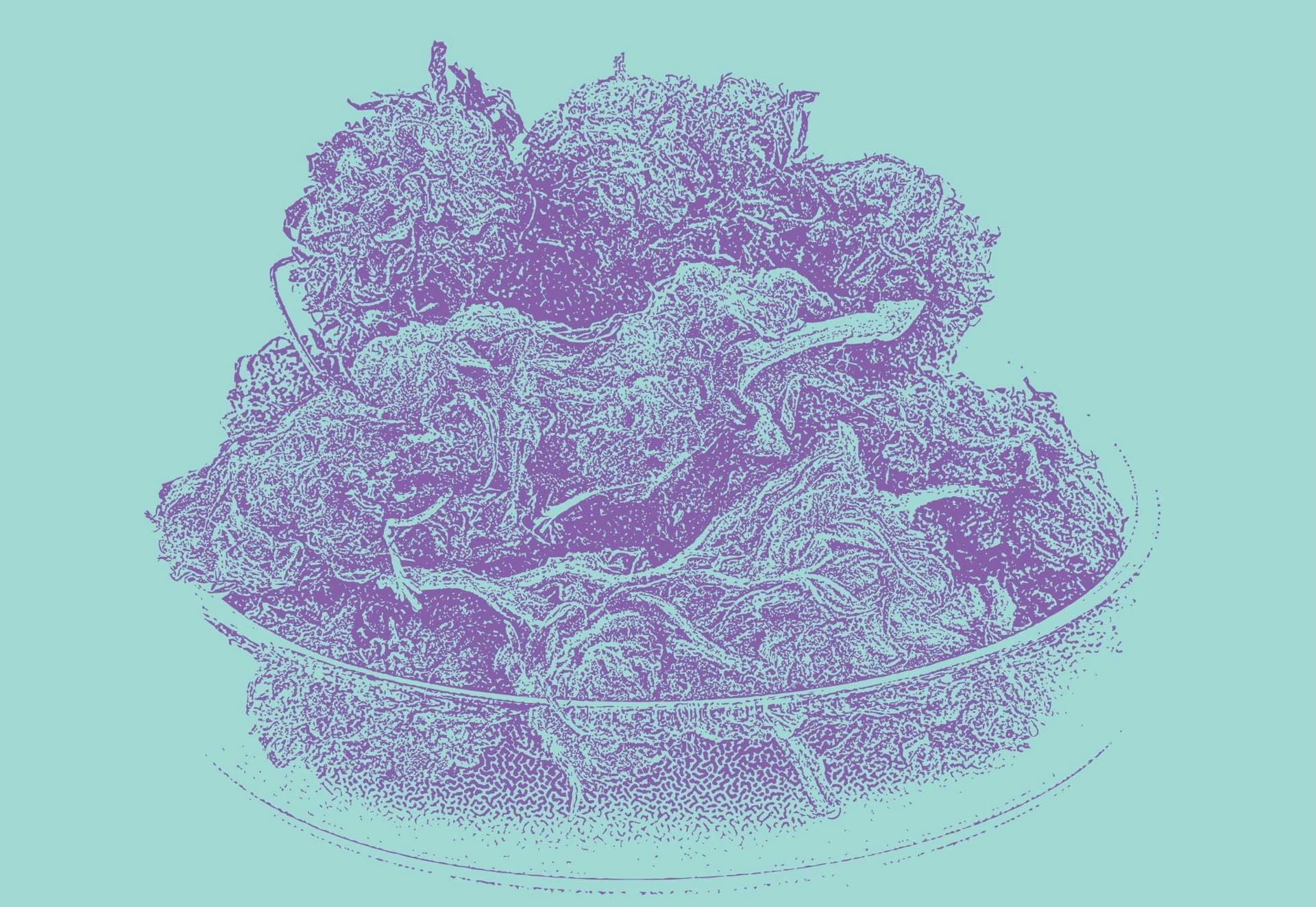Purple Kush: The Relaxing, Calming High image