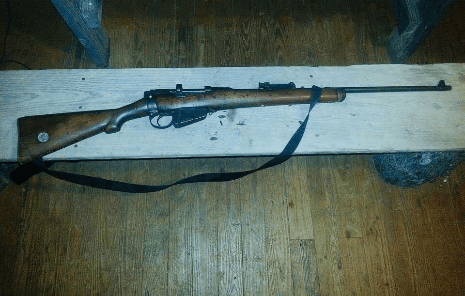 Public’s help sought after car shot by suspected hunter image