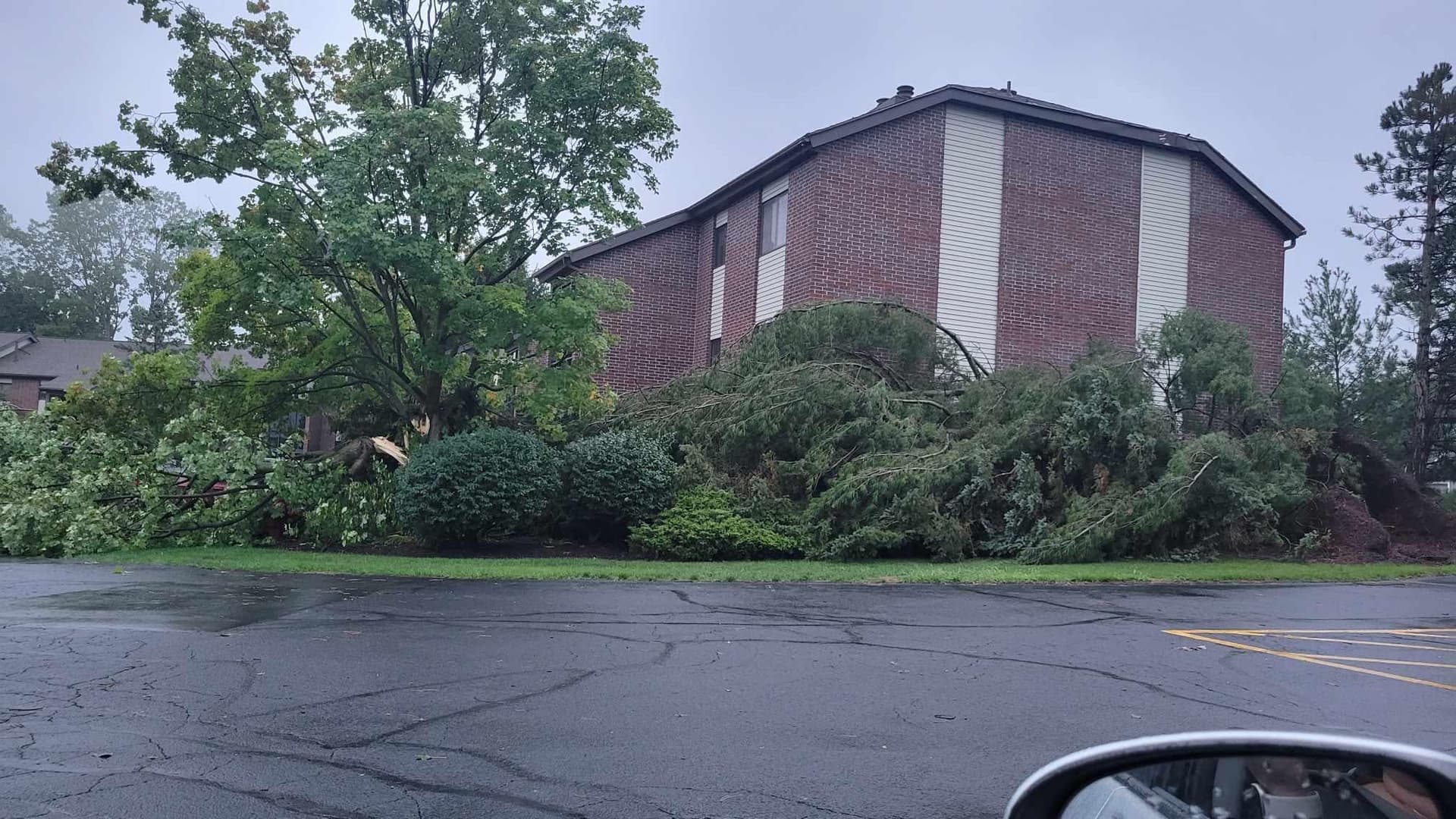 National Weather Service confirms 7 tornadoes touched down in Michigan image