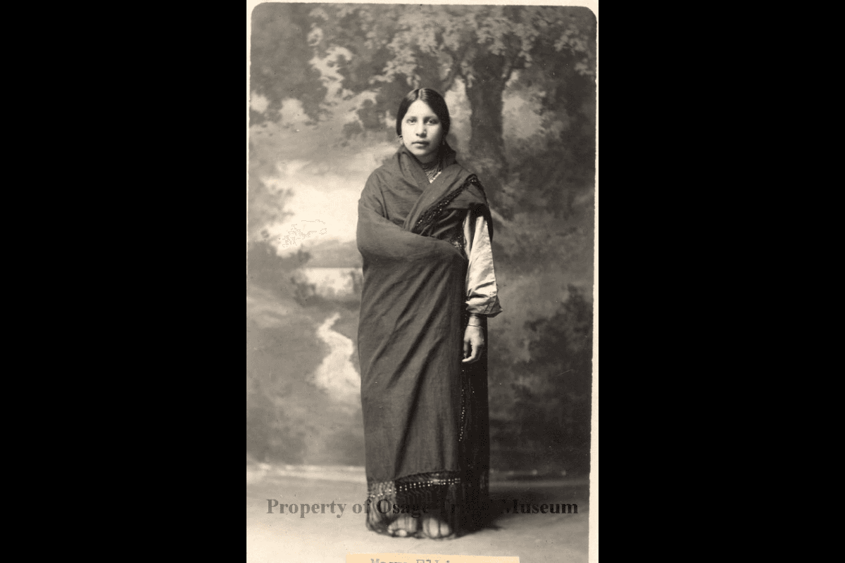 Mystery of Mary Elkins: Was she another unaccounted victim of the Reign of Terror? image