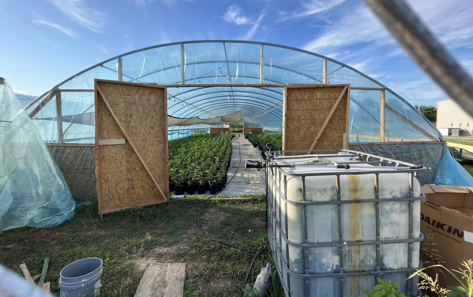 With cheap land and low fees, Oklahoma-grown marijuana fuels the black market in other states  image