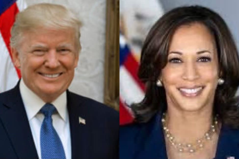 For Pharma, Trump vs. Harris Is a Showdown Between Two Industry Foes image