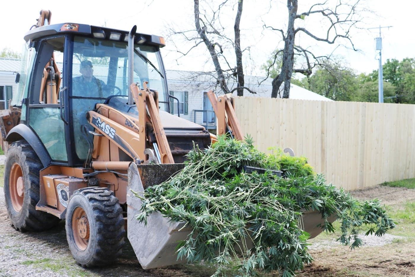 Oklahoma’s marijuana underworld worth over $100 billion, new estimates show image