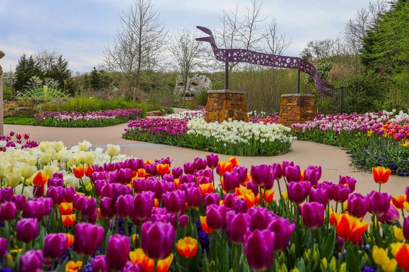March Festivals and Events in Oklahoma image