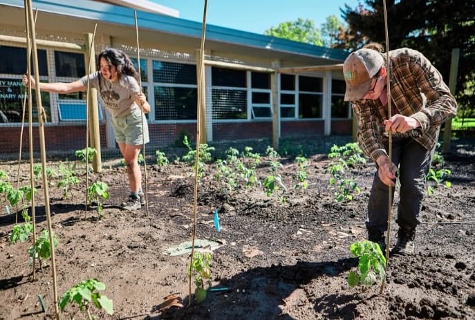 Food Sovereignty Movement Sprouts as Bison Return to Indigenous Communities image