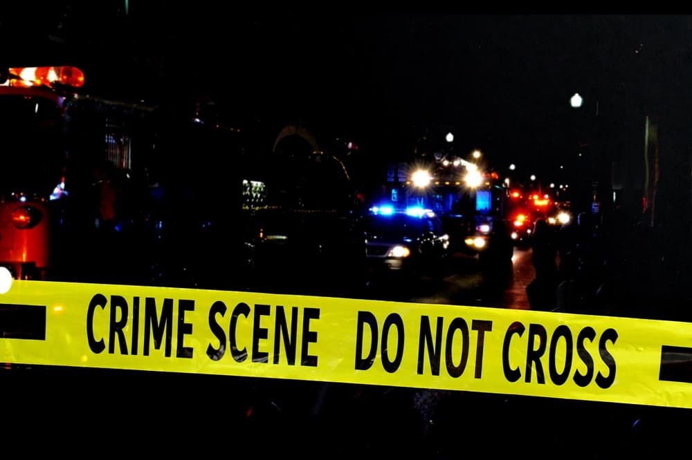 New numbers show domestic violence homicides are highest on record image