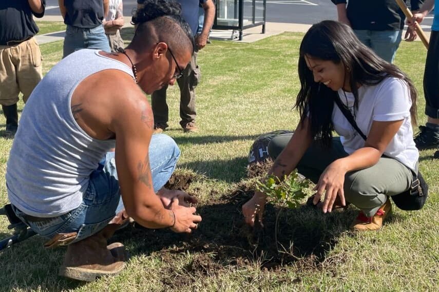 Council Oak Tree’s legacy lives on at CMN image