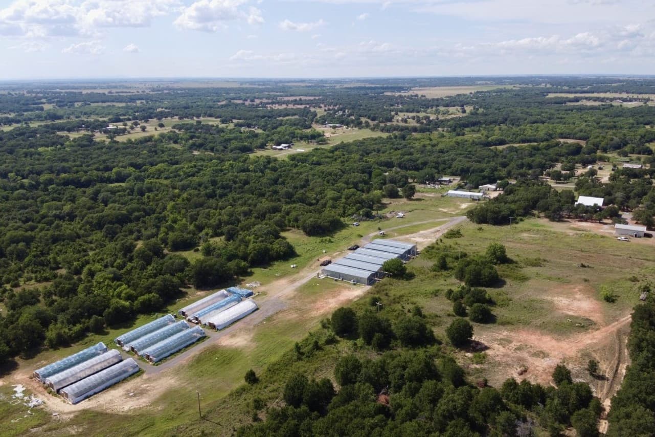 Oklahoma counties with more marijuana grows saw property values surge, study finds image