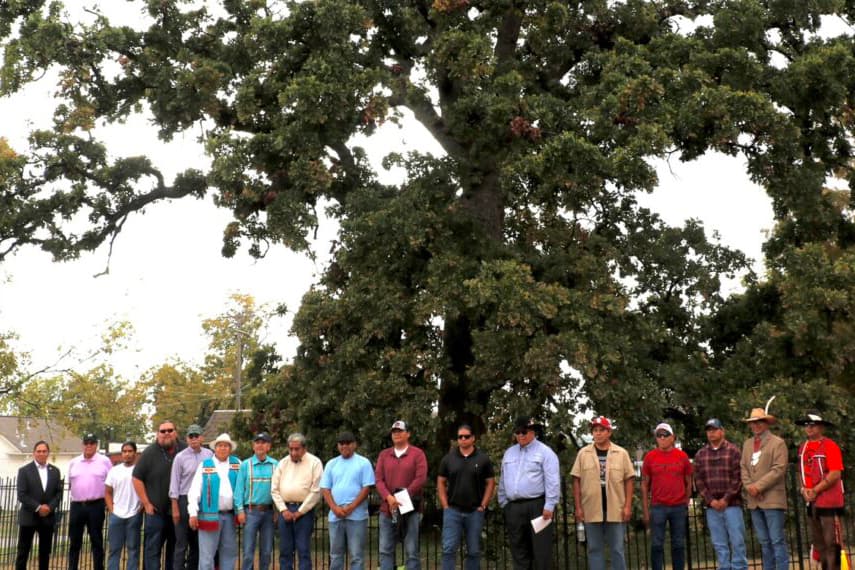 Council Oak Tree Day celebrates Mvskoke resilience image