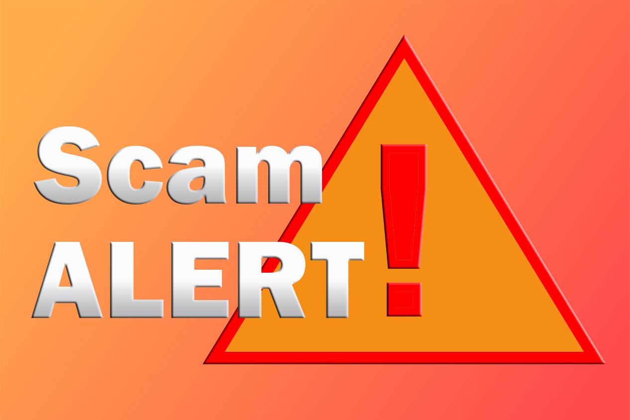 Online scam targeting children image
