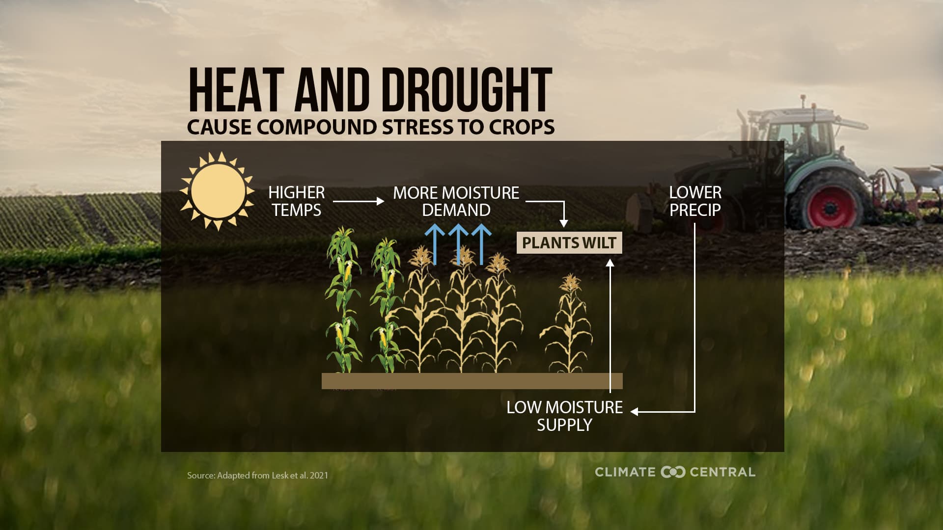 Climate change putting stress on food supply image