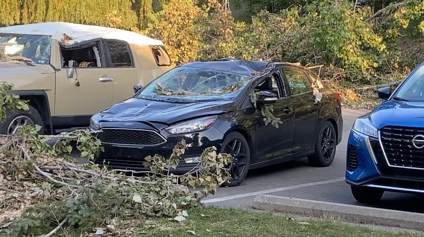Cleanup efforts underway after tornadoes hit Michigan image