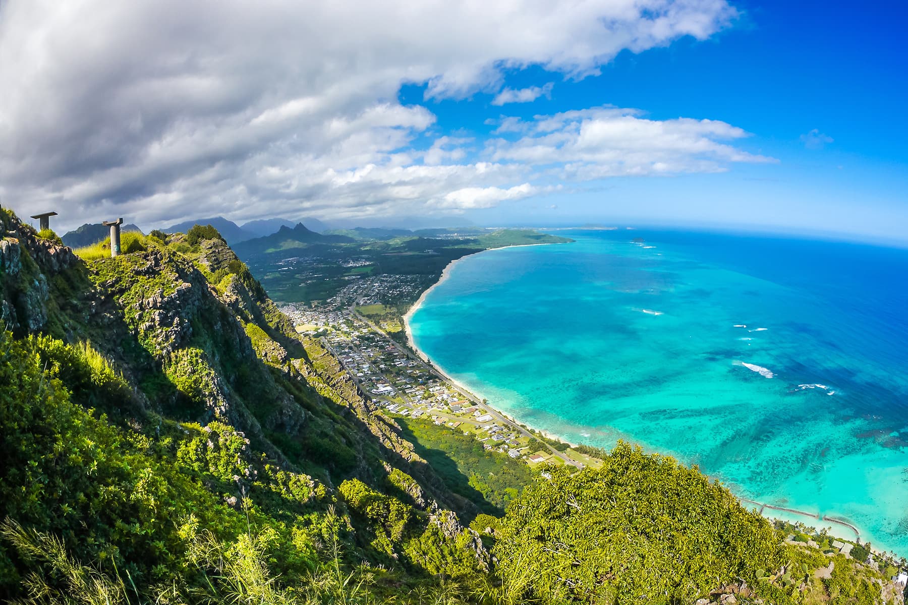 A Look at Maui Wowie: The Flyin’ Hawaiian image