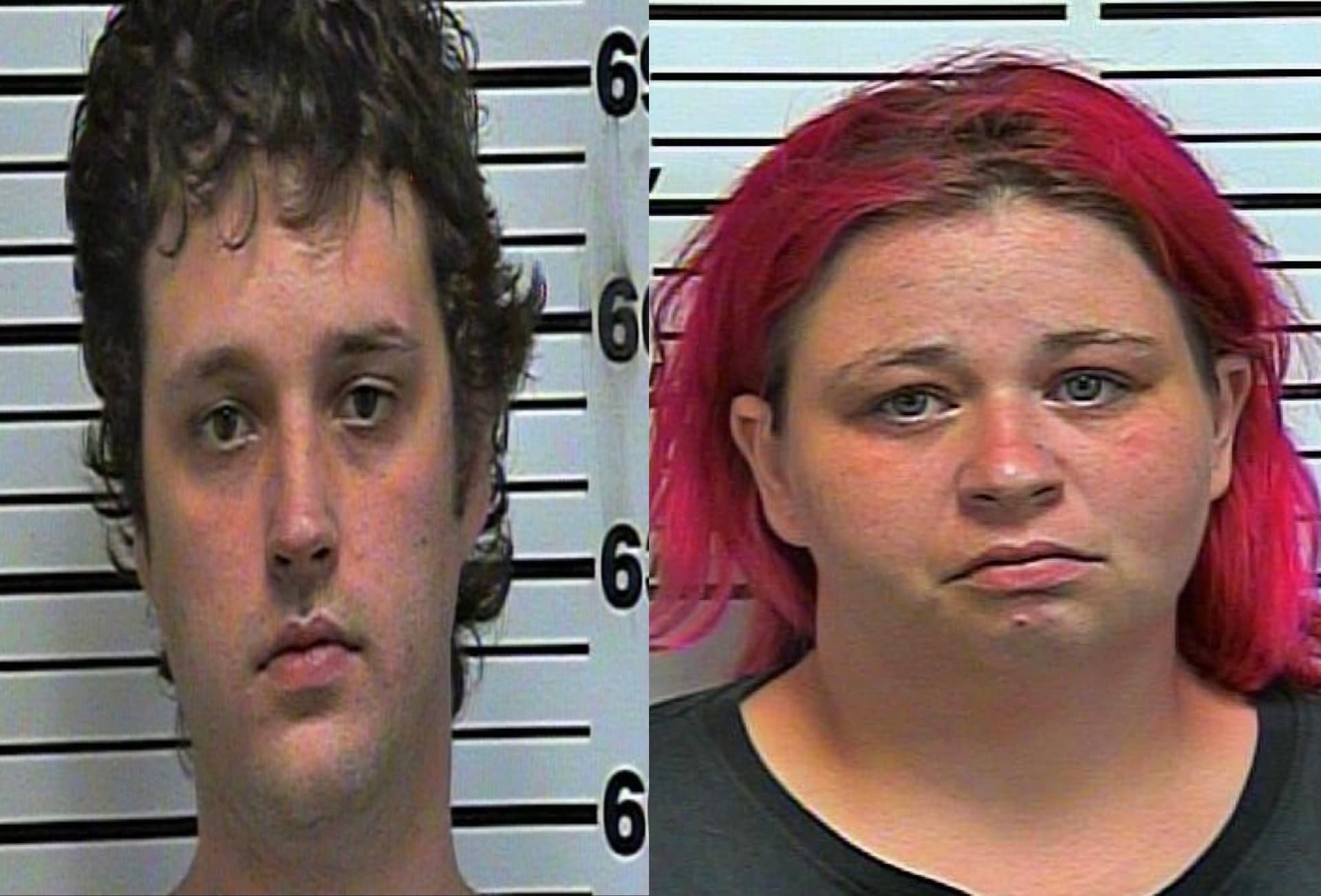 Man pleads guilty to toddler rape charges image