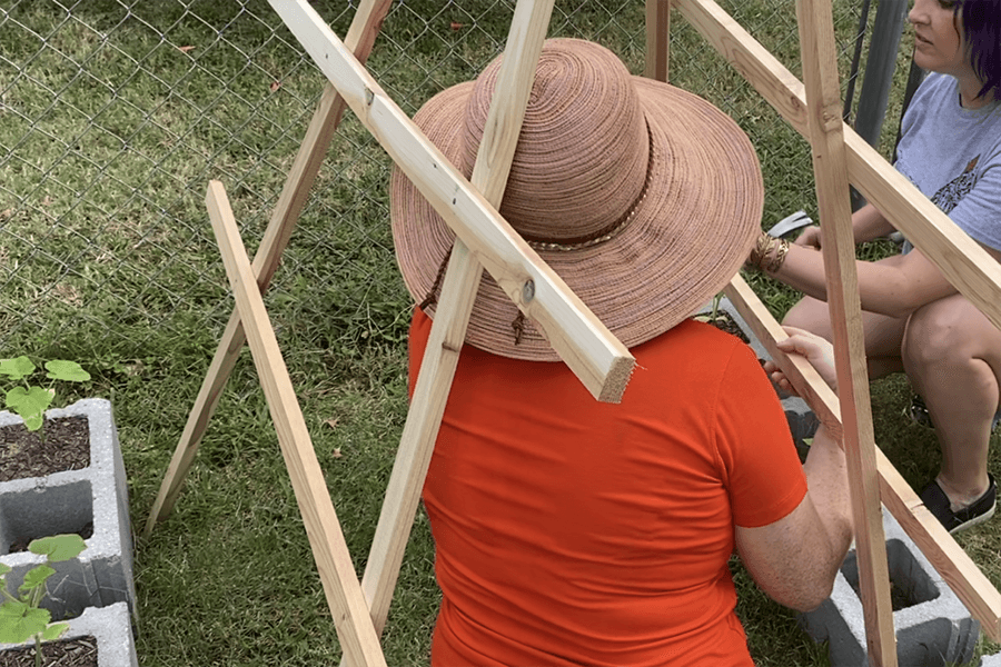 How to build a vertical garden at home image