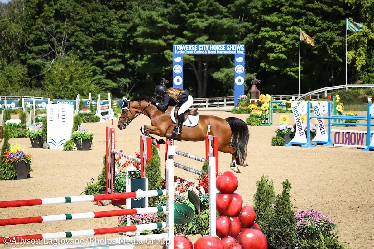 Horse Shows drive Traverse City tourism economy image