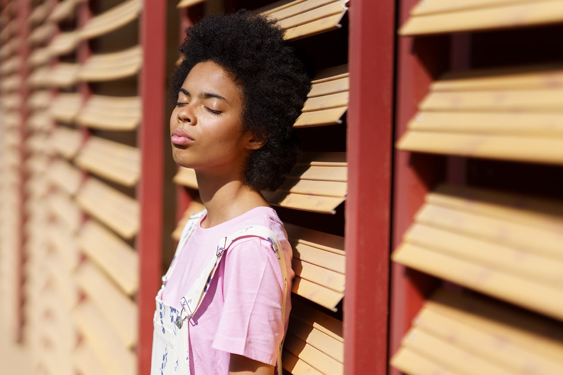 Rewiring your nervous system for peace instead of panic image