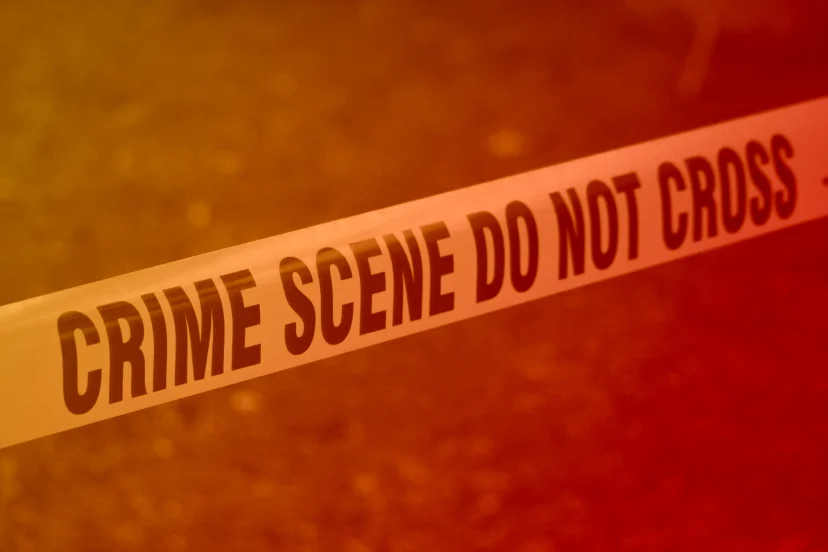 12-year-old in custody after stabbing her 9-year-old brother image