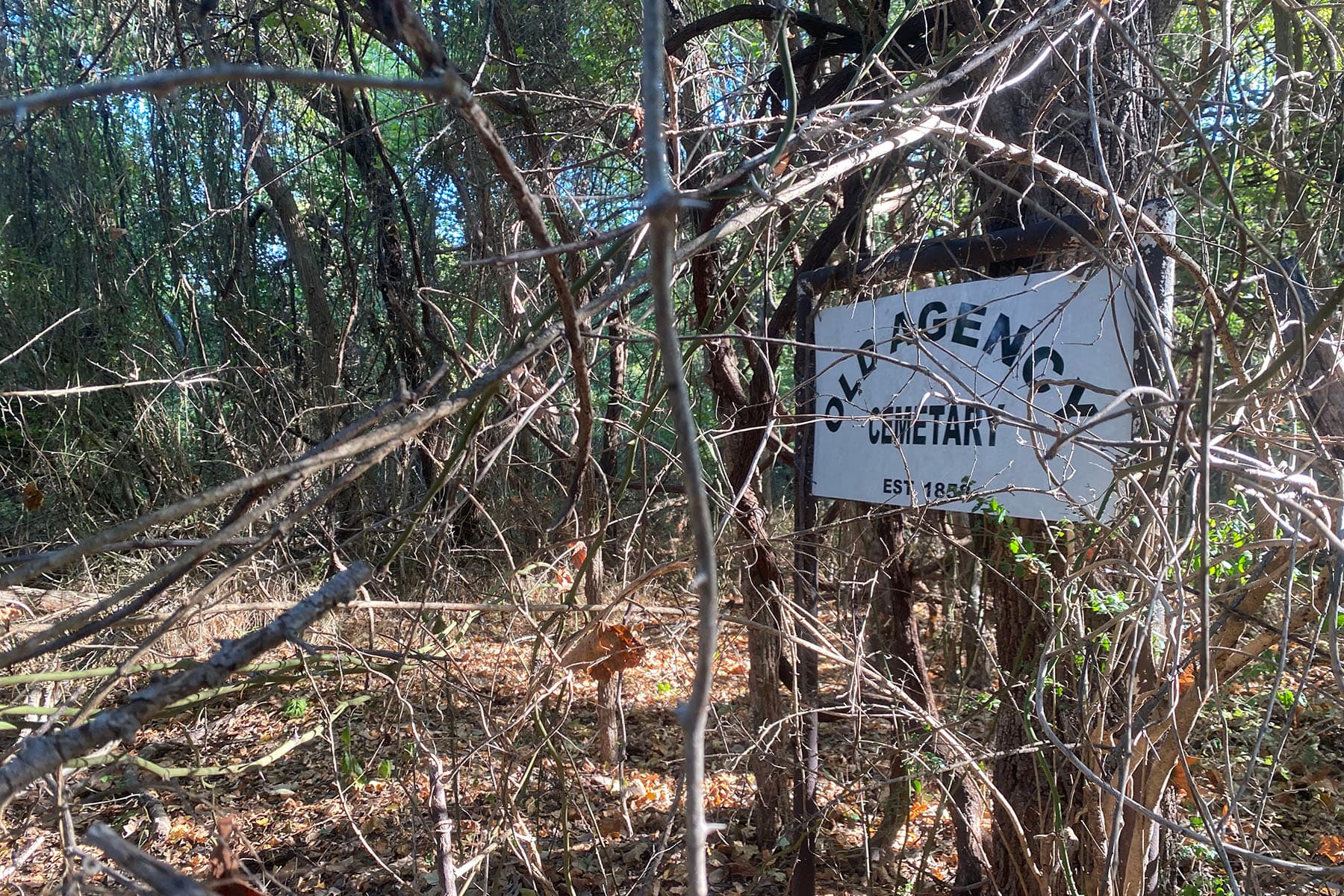 First clean-up scheduled at Agency Cemetery in over 10 years  image