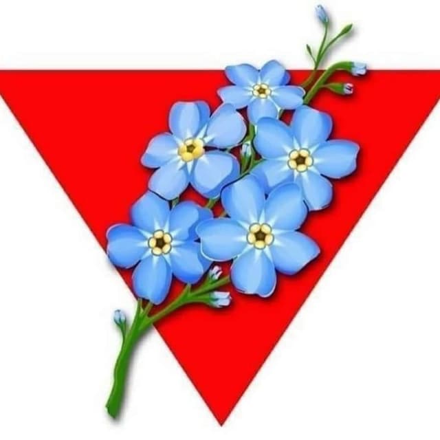 Vann Campbell profile picture