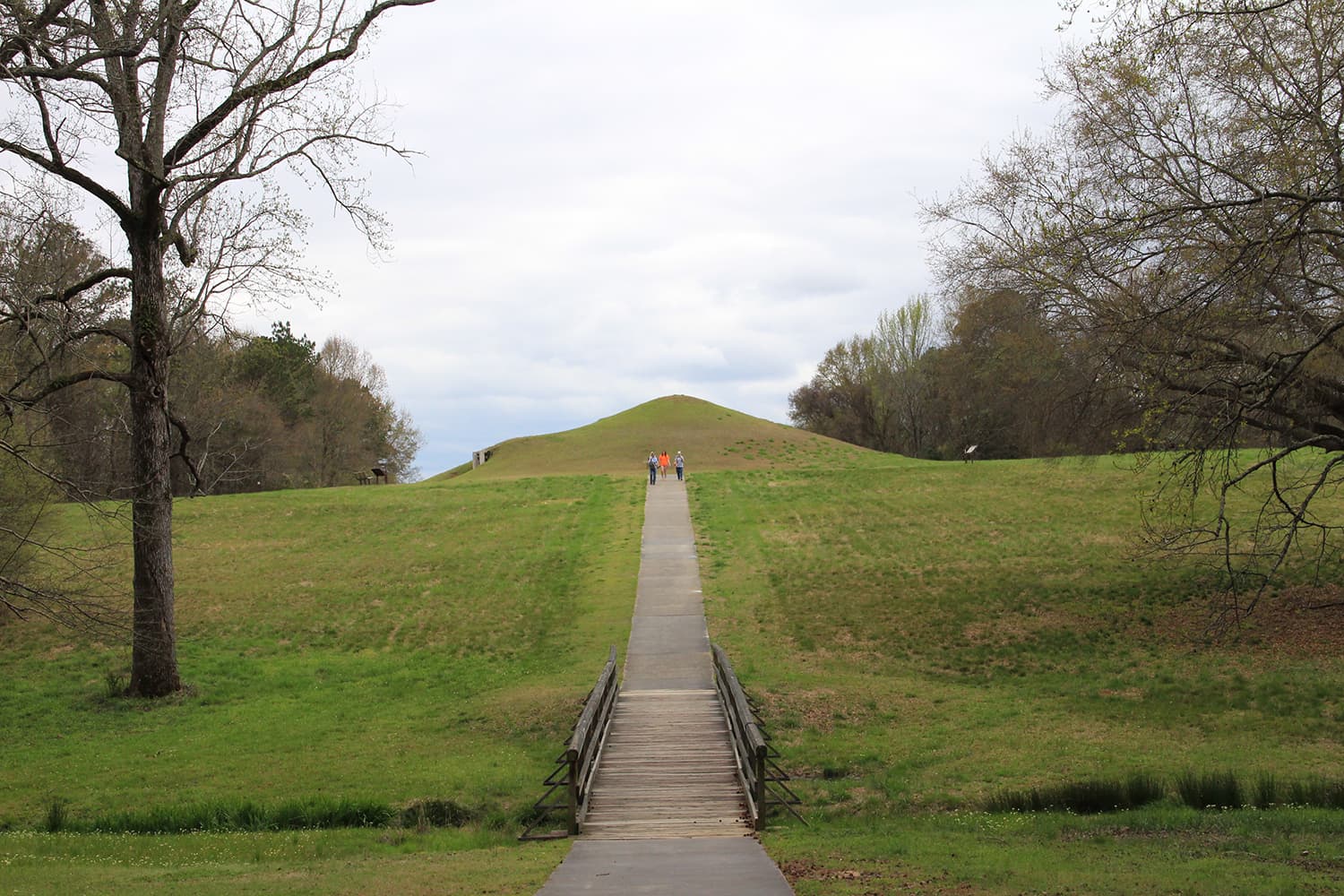 Ocmulgee Mounds grows with additional protection of land image