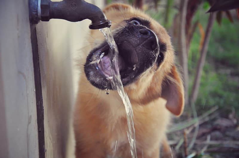 Stay hydrated this month image