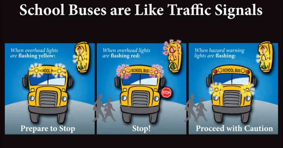 Drivers reminded to pay attention to school buses after student gets hit image